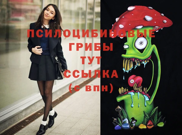 МДМА Алексеевка